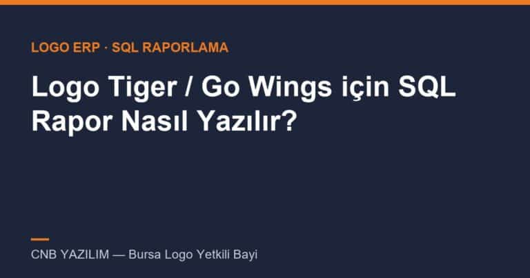 Logo Tiger / Go Wings için SQL Rapor Nasıl Yazılır? (Örnek Sorgularla)