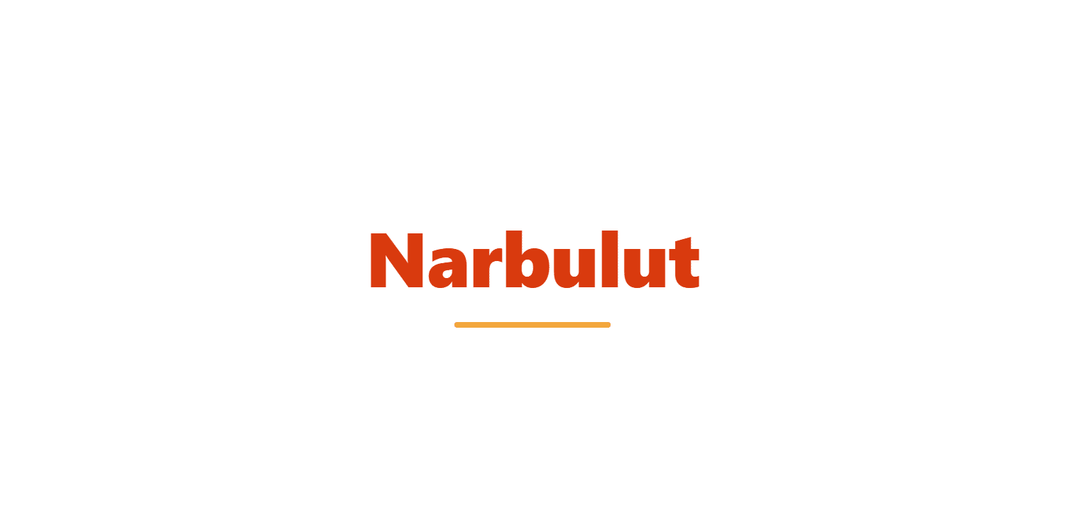 Narbulut Veri Yedekleme