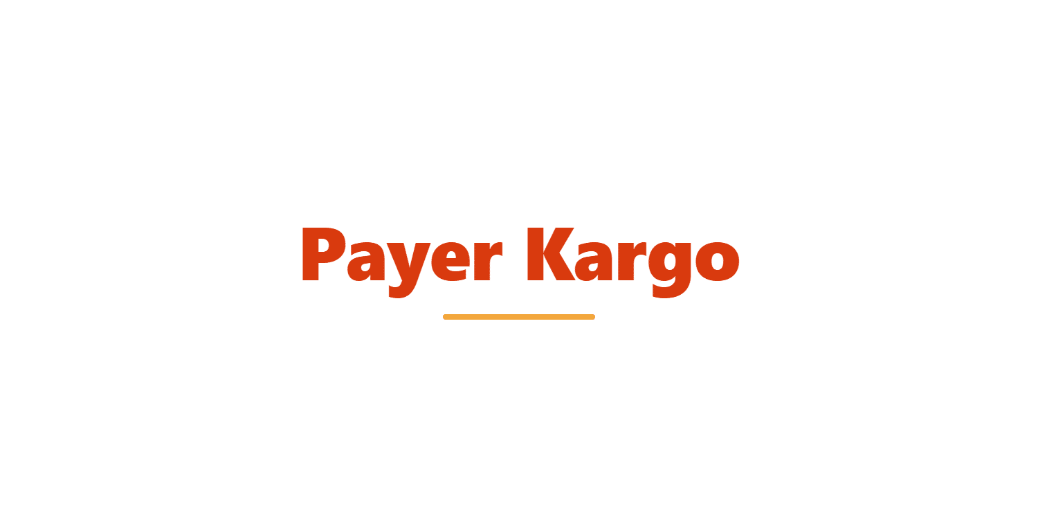 Payer Kargo Entegrasyonu